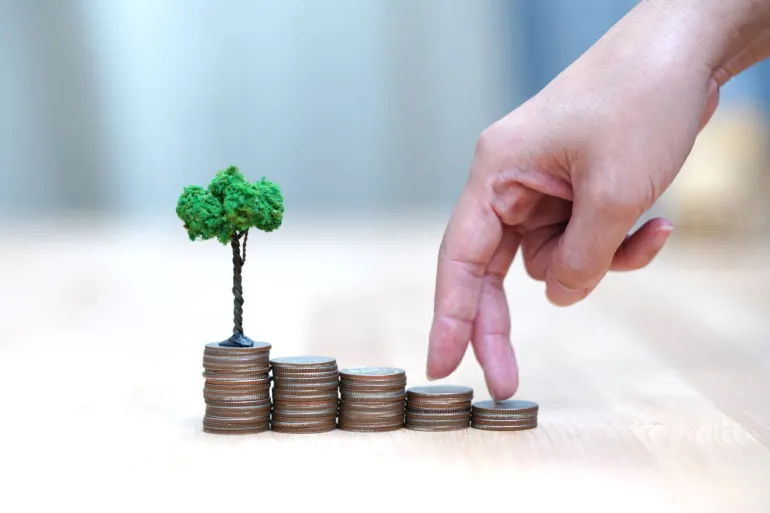 دليل شامل حول كيفية حساب صافي ثروتك: البوصلة الحقيقية لحريتك المالية