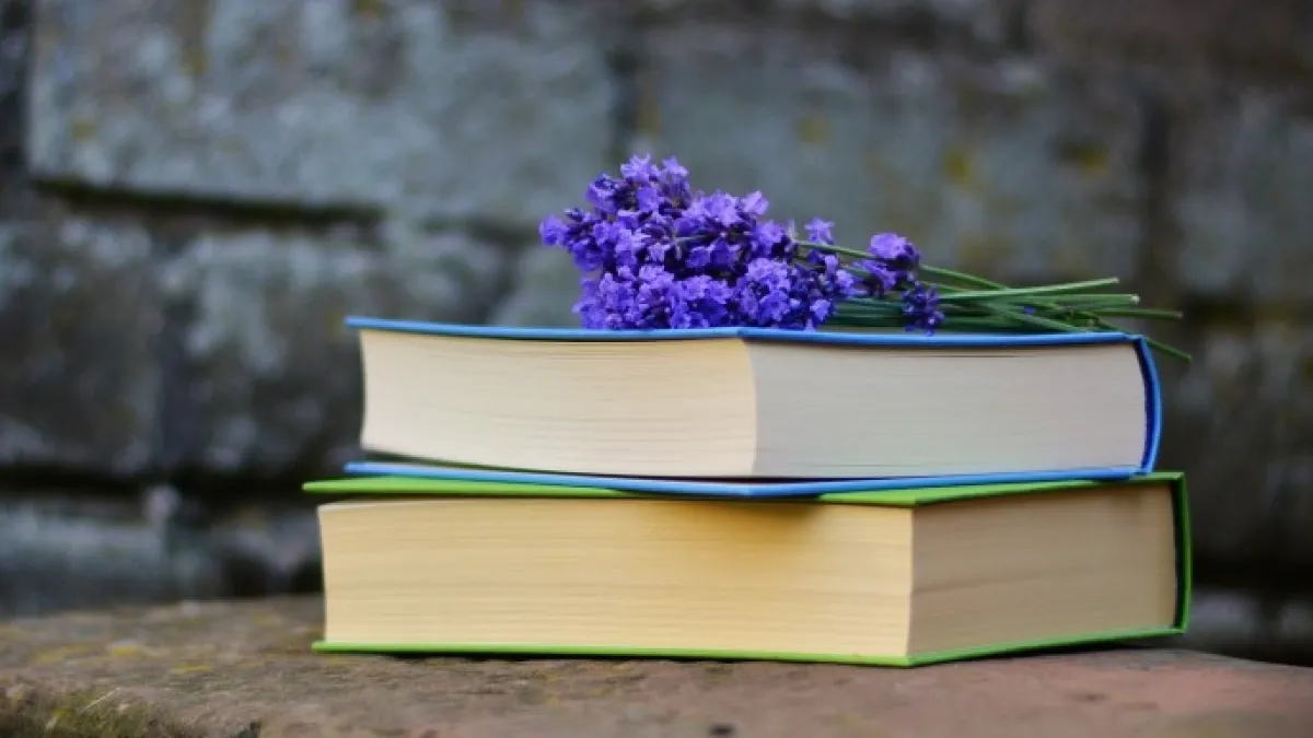 كتب استثمار للمبتدئين: دليل القراءة الشامل لبناء ثروة مستدامة من الصفر