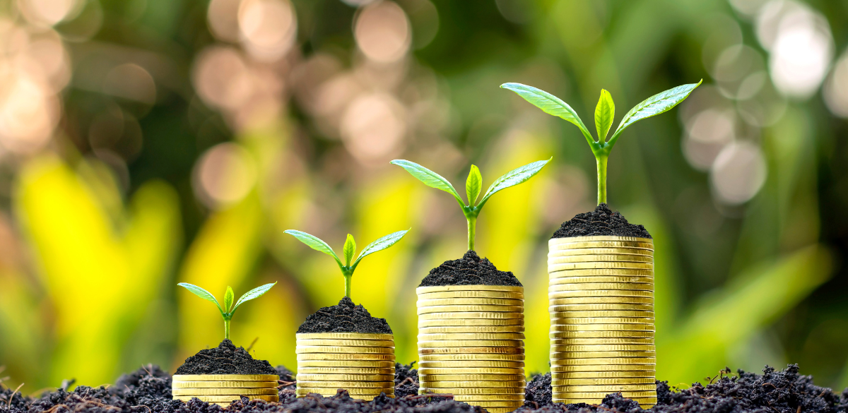 أدوات رقمية مجانية تساعدك على حساب زكاة مالك بدقة