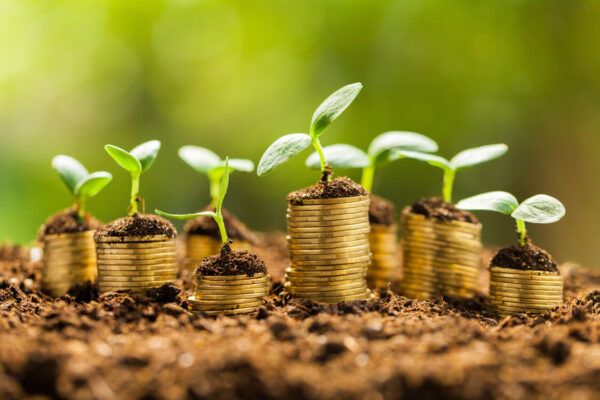 دليل الاستثمار في السندات الخضراء: كيف تحقق أرباحاً مالية وتساهم في حماية الكوكب؟
