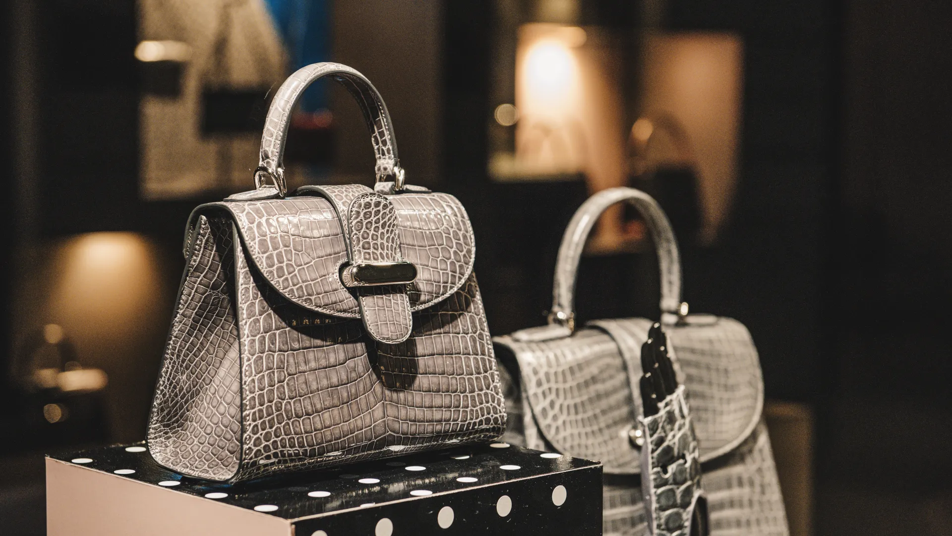 فن الاستثمار في الماركات: كيف تفرق بين الجودة الحقيقية وضجيج التسويق؟